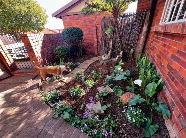 To Let 2 Bedroom Property for Rent in Langenhovenpark Free State